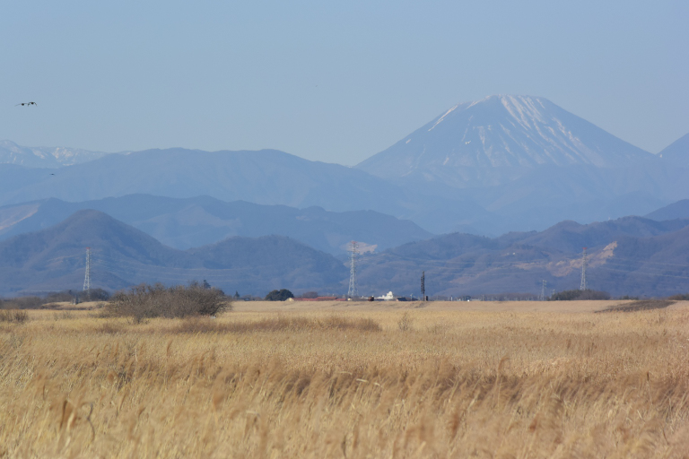 f:id:spanglemaker:20180114143711j:image