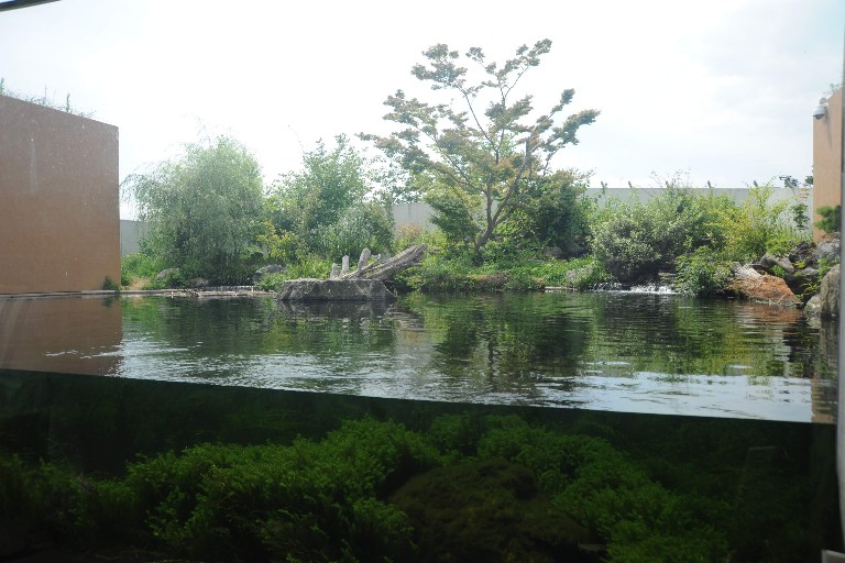 f:id:spanglemaker:20180714131555j:image