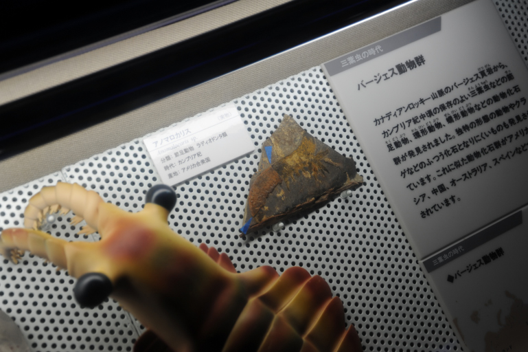 f:id:spanglemaker:20181123113104j:image
