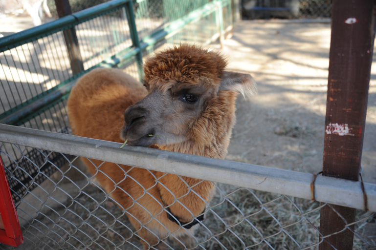 f:id:spanglemaker:20190105113913j:image