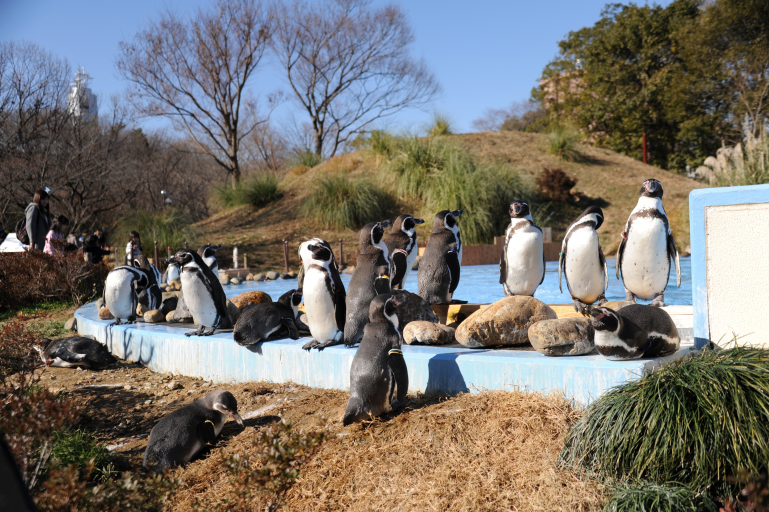 f:id:spanglemaker:20190105115453j:image