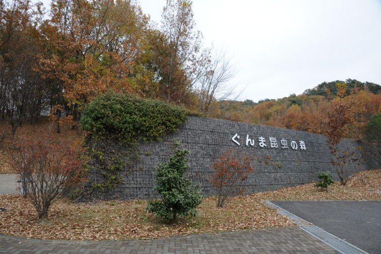 f:id:spanglemaker:20191201130439j:image