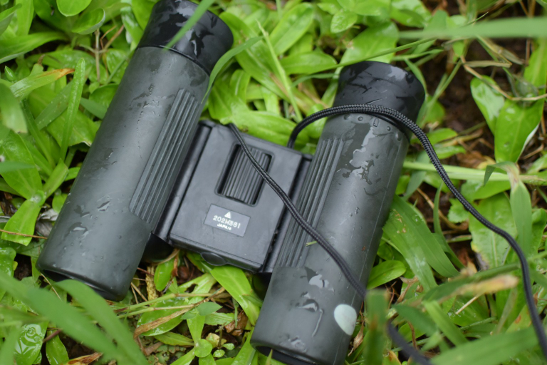 双眼鏡☆Nikon スポーツスターEX ニコン双眼鏡スポーツスターEX 8x25mm - Great Spangled Weblog