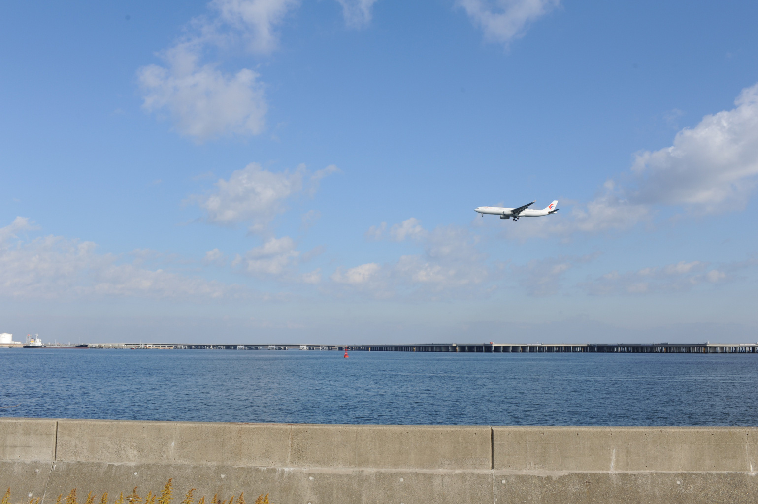 浮島町公園に再度展開 - Great Spangled Weblog