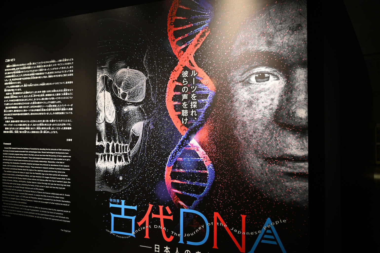 古代DNA——日本人の来た道—— - Great Spangled Weblog