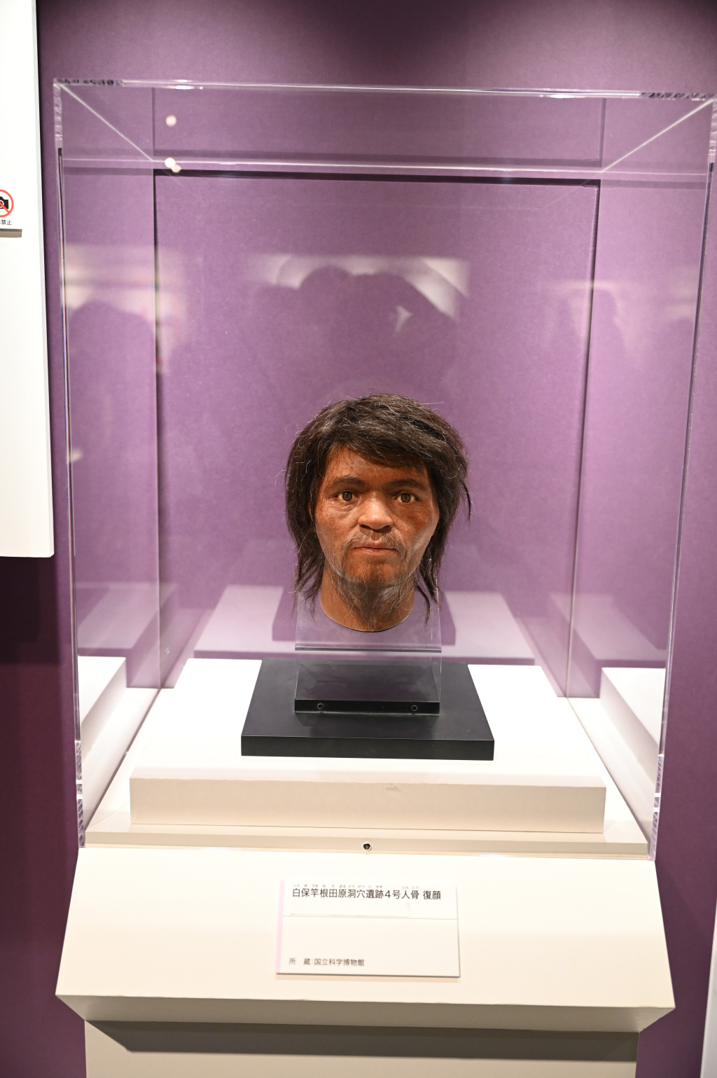 古代DNA——日本人の来た道—— - Great Spangled Weblog