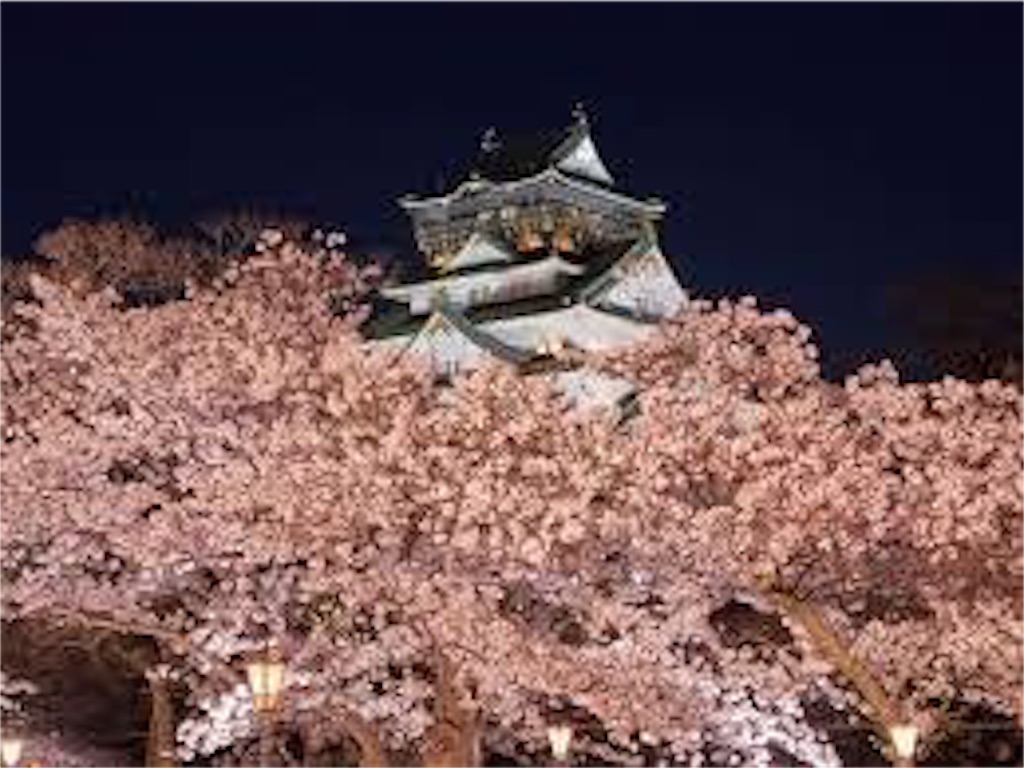 f:id:spareo:20200312023748j:image f:id:spareo:20200312023748j:image