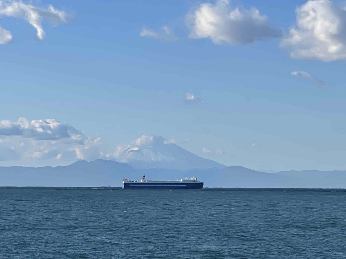 f:id:sparkgene:20211218143815j:plain