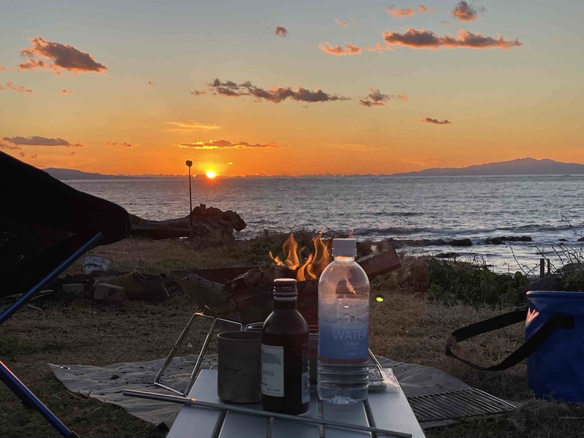 f:id:sparkgene:20211218163010j:plain