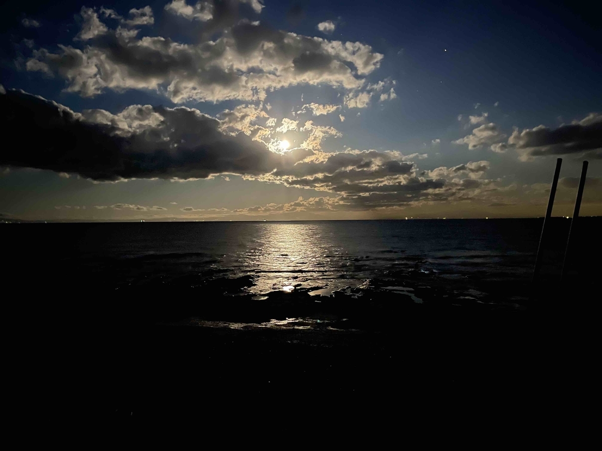 f:id:sparkgene:20211219054239j:plain