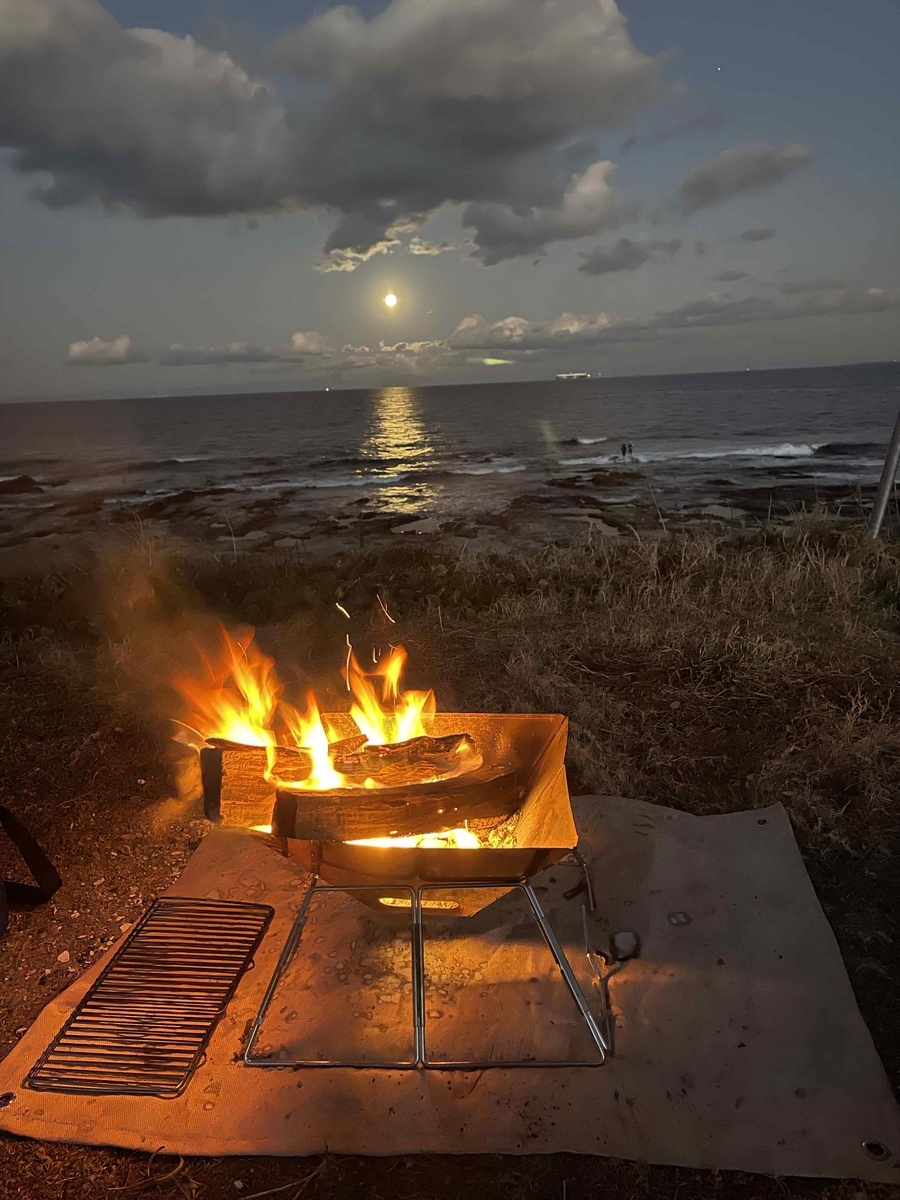 f:id:sparkgene:20211219060818j:plain