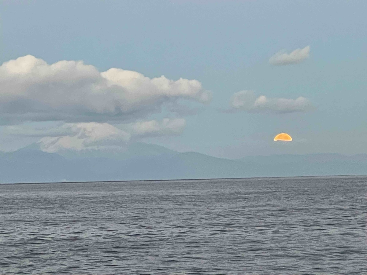 f:id:sparkgene:20211219063320j:plain