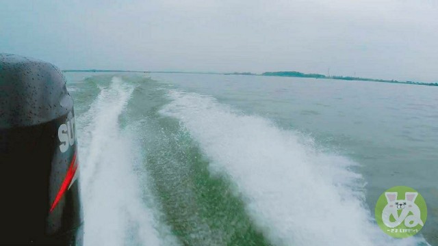f:id:sparking-xyz5683:20180515002937j:image f:id:sparking-xyz5683:20180515002937j:image