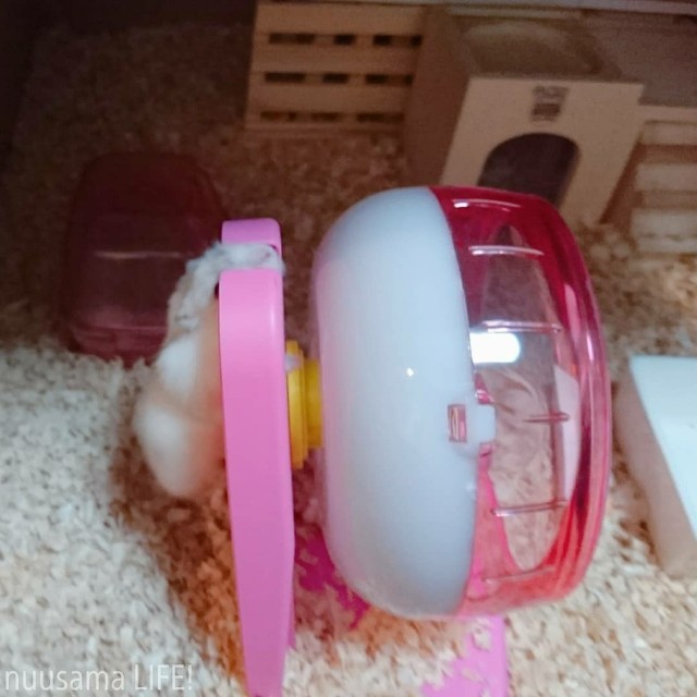 f:id:sparking-xyz5683:20180527000611j:image f:id:sparking-xyz5683:20180527000611j:image