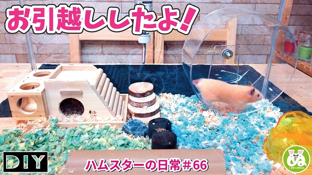 ハムスター 動画 ハムスターのお家を水槽にお引越ししたら気に入ってくれたみたい 66 Diy Hamster ぬーさまlife Blog