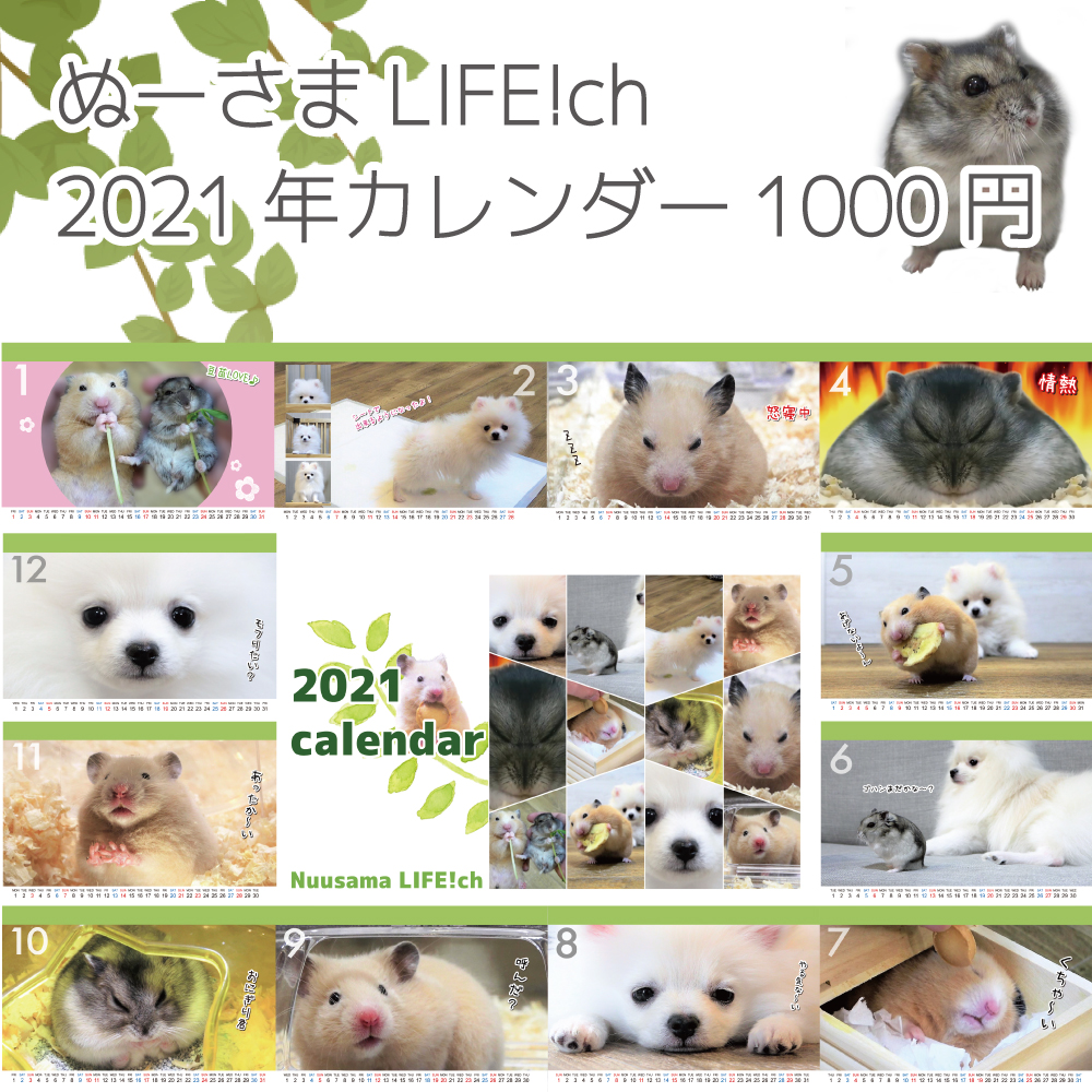 f:id:sparking-xyz5683:20201109201837j:plain f:id:sparking-xyz5683:20201109201837j:plain