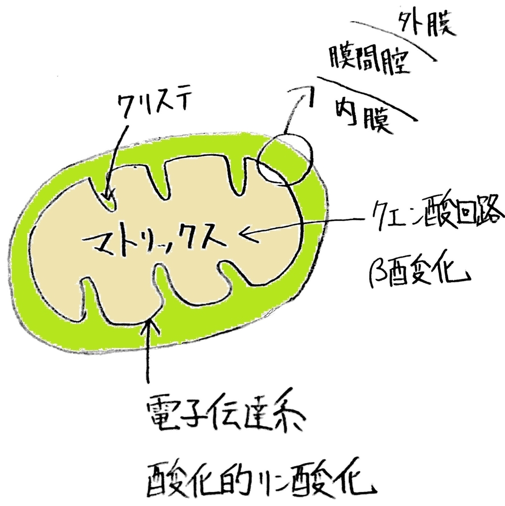 f:id:spcom:20181109223011j:plain