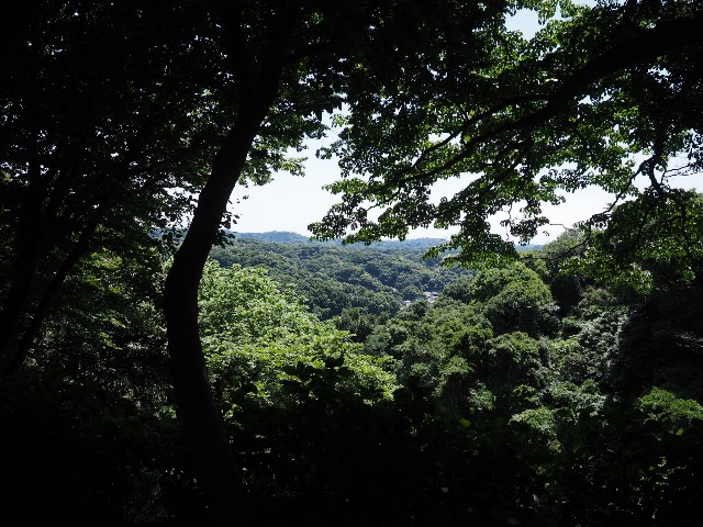 f:id:speaknoevil:20170605233111j:image f:id:speaknoevil:20170605233111j:image