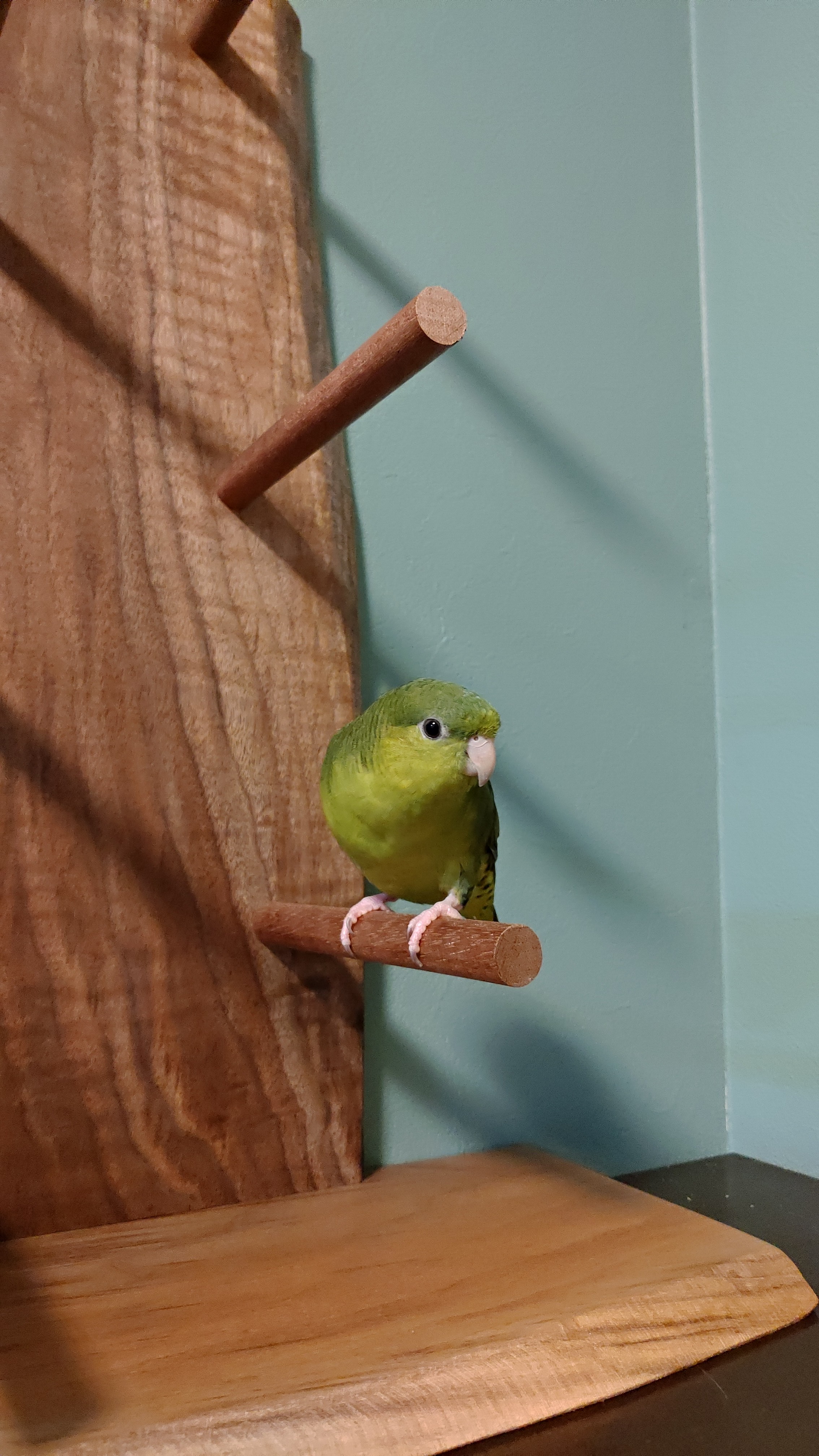 f:id:speaknoevil:20210322144736j:plain