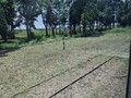 20260613110304
