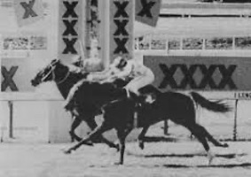 ファイントップ｜仏競馬を支えた名スプリンター - 特定看護師が教える