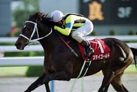 ステイゴールド｜海外GⅠ制覇と名種牡馬 - 特定看護師が教える！麻酔
