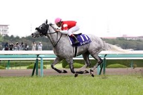 ステイゴールド｜海外GⅠ制覇と名種牡馬 - 特定看護師が教える！競馬