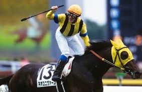 競馬 蹄鉄 ネオユニヴァース 実使用 G1馬 ダービー馬 JRA ネオユニヴァース｜皐月賞・ダービー制覇の名馬 - 特定看護師が教える