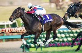 ネオユニヴァース｜皐月賞・ダービー制覇の名馬 - 特定看護師が教える