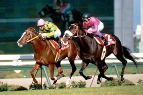 ブライアンズタイム｜日本競馬支えた名馬と名父 - 特定看護師が教える