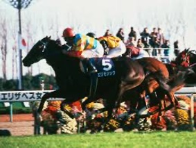 ダンシングブレーヴ｜欧州最強と称された名馬 - 特定看護師が教える 