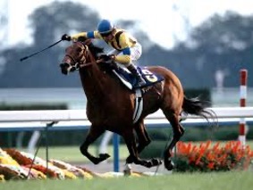 ダンスインザダーク｜菊花賞制覇の名馬と父系 - 特定看護師が教える