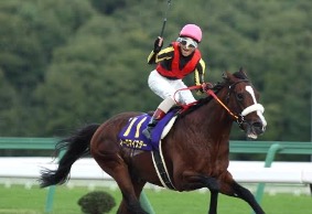 ゴールドアリュール｜日本ダート界を築いた名馬 - 特定看護師が教える
