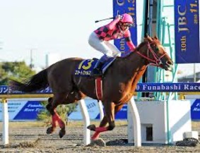 ゴールドアリュール｜日本ダート界を築いた名馬 - 特定看護師が教える