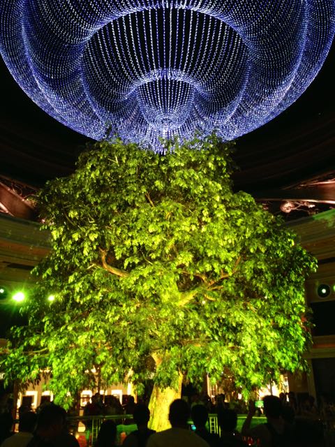 f:id:specide:20150607230247j:plain f:id:specide:20150607230247j:plain