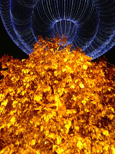 f:id:specide:20150607230305j:plain f:id:specide:20150607230305j:plain