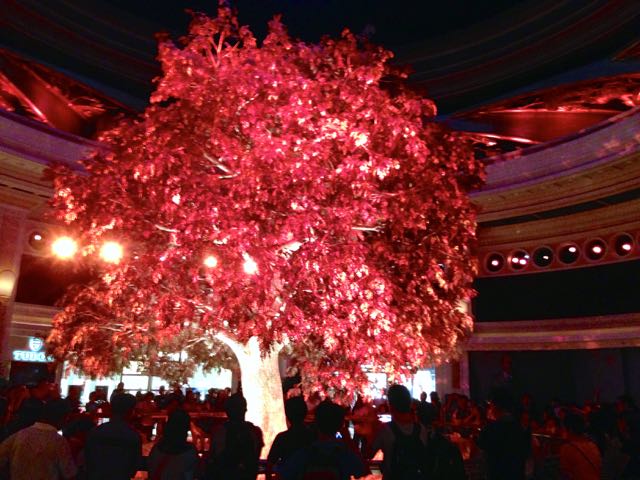 f:id:specide:20150607230316j:plain f:id:specide:20150607230316j:plain