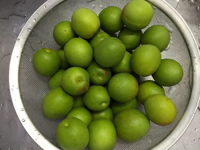 f:id:specide:20150613170740j:plain f:id:specide:20150613170740j:plain