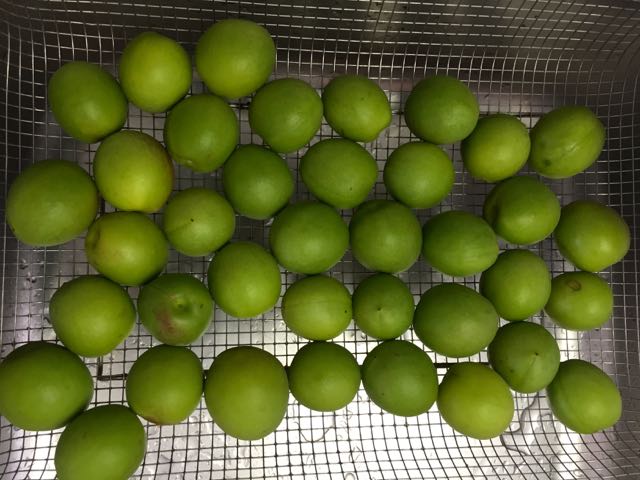 f:id:specide:20150613170749j:plain f:id:specide:20150613170749j:plain