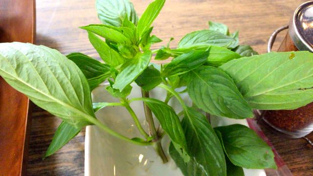 f:id:specide:20160102170823j:plain