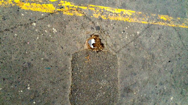 f:id:specide:20160102173403j:plain