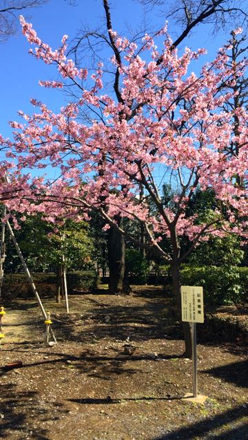 f:id:specide:20160409013015j:plain