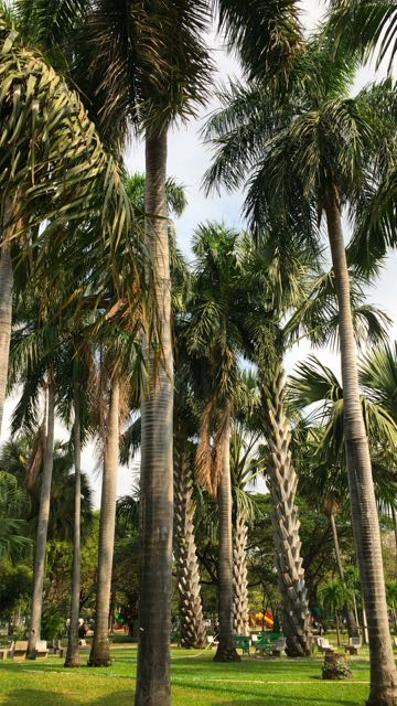 f:id:specide:20161025174236j:plain f:id:specide:20161025174236j:plain