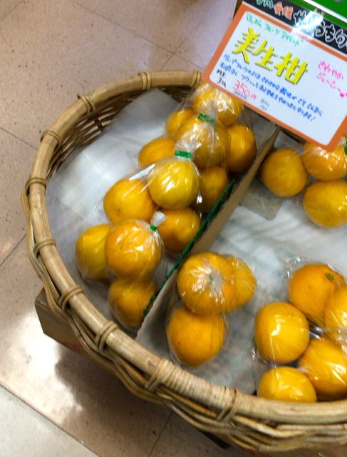 f:id:specide:20170426073045j:plain