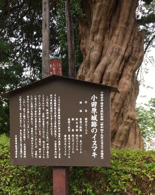 f:id:specide:20170804214003j:plain