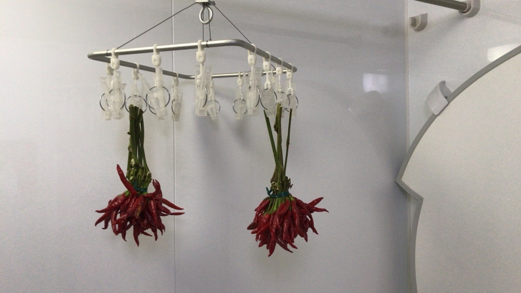 f:id:specide:20171122004151j:plain