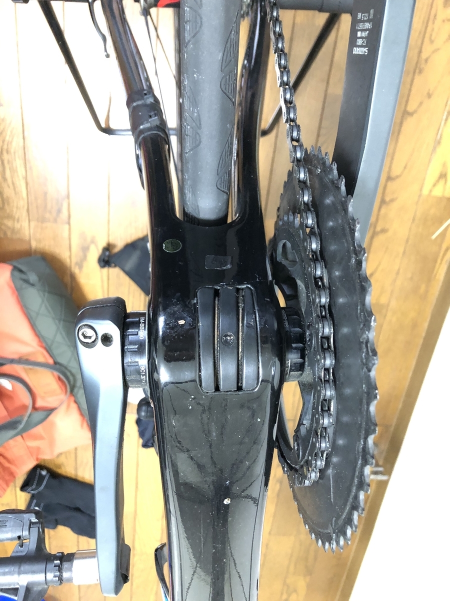 f:id:species5618jp:20190411171351j:plain