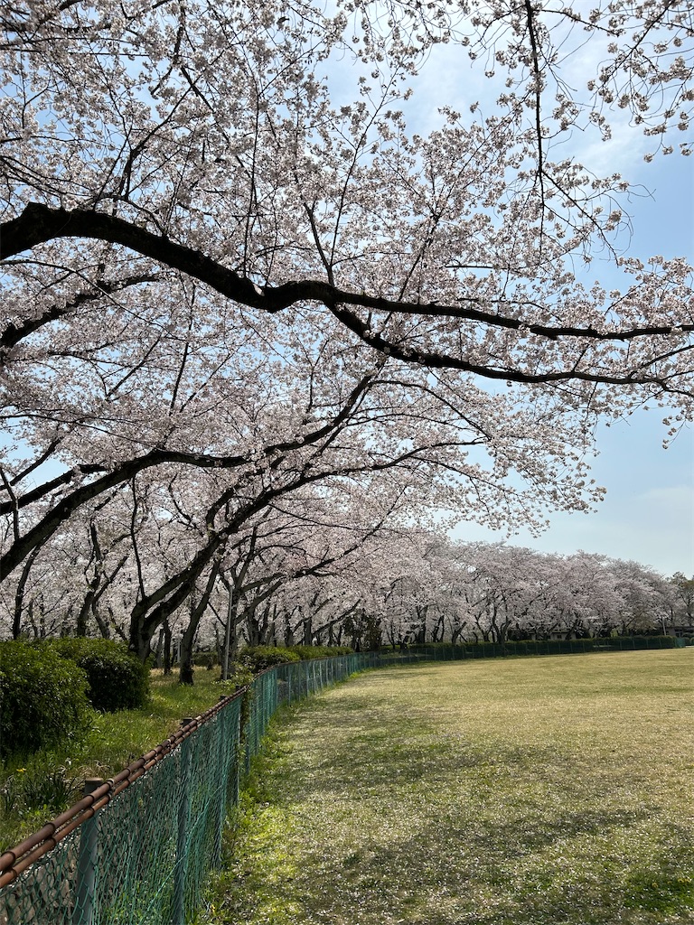 f:id:specspec3618:20250409144212j:image