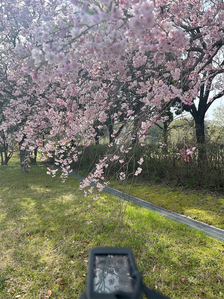 f:id:specspec3618:20250414122217j:image