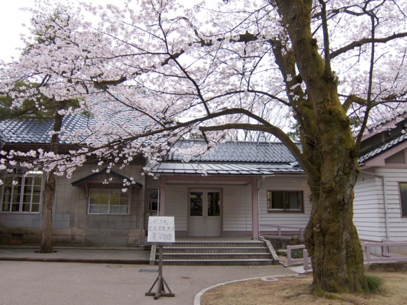 f:id:speedsolve:20131215142024j:image:w360